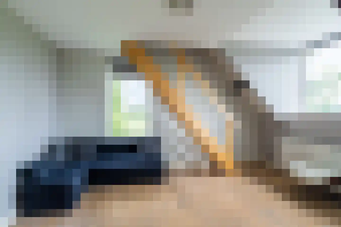 Bloemweg 4 Almkerk thumbnail 34
