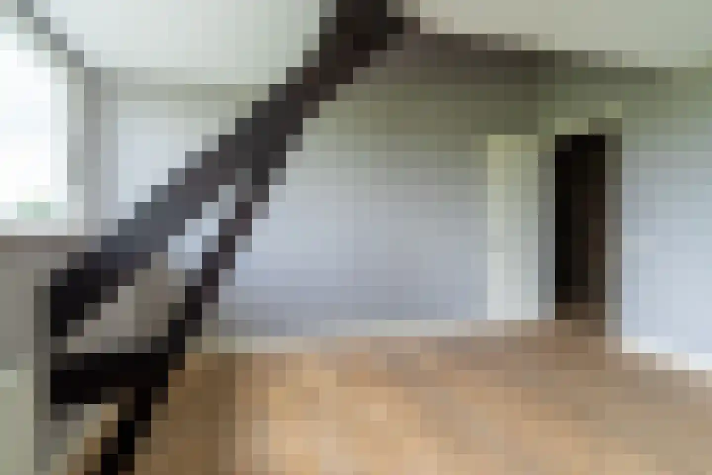 Bloemweg 4 Almkerk thumbnail 35