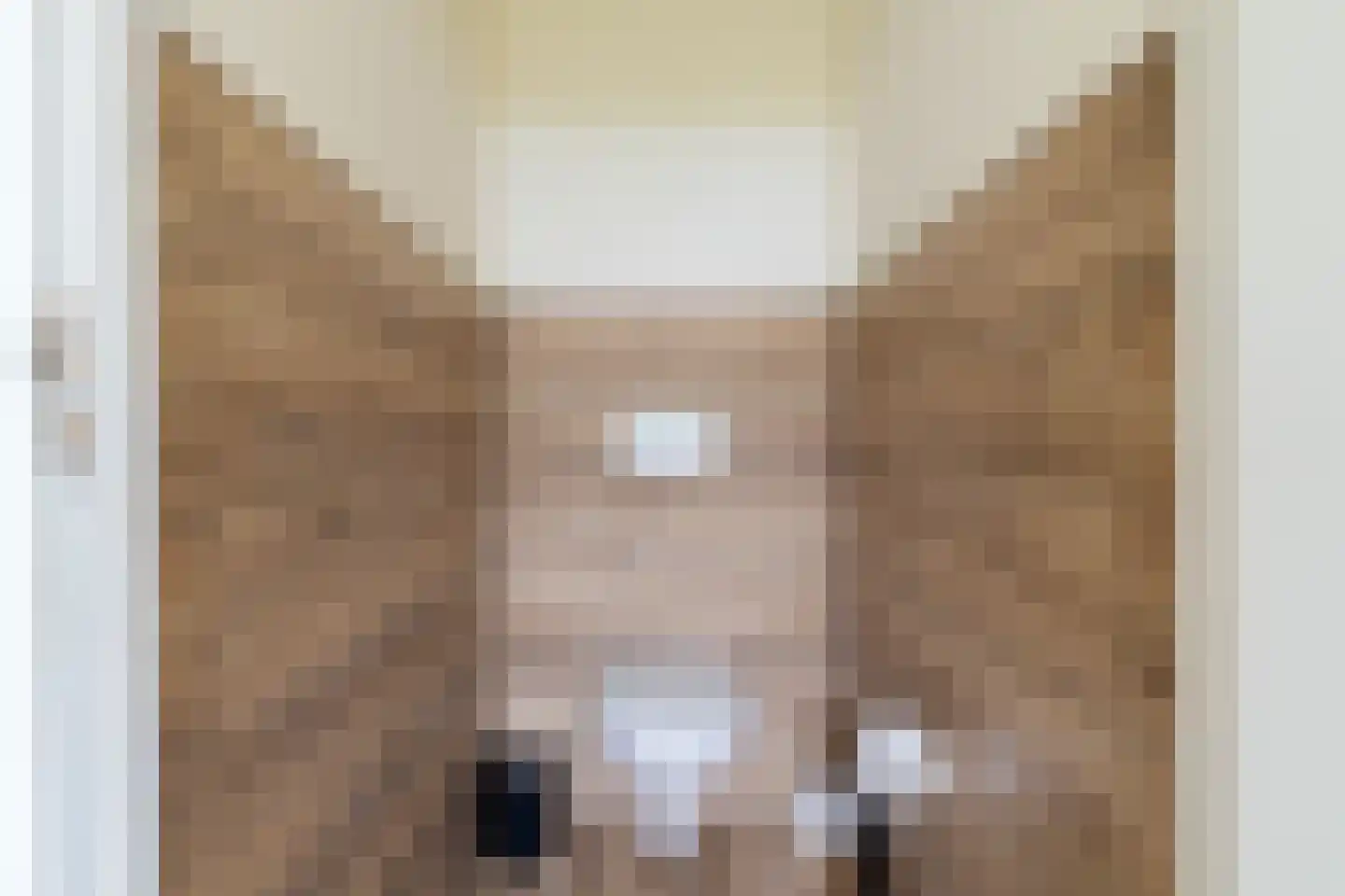 Bloemweg 4 Almkerk thumbnail 44