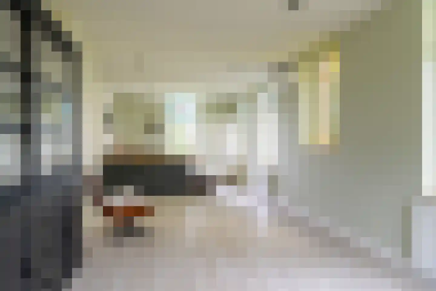 Bloemweg 4 Almkerk thumbnail 46
