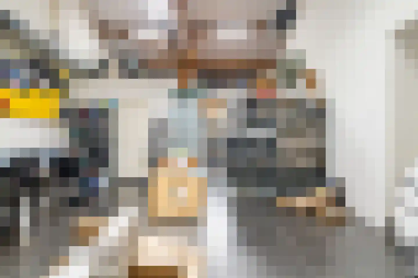 Bloemweg 4 Almkerk thumbnail 64