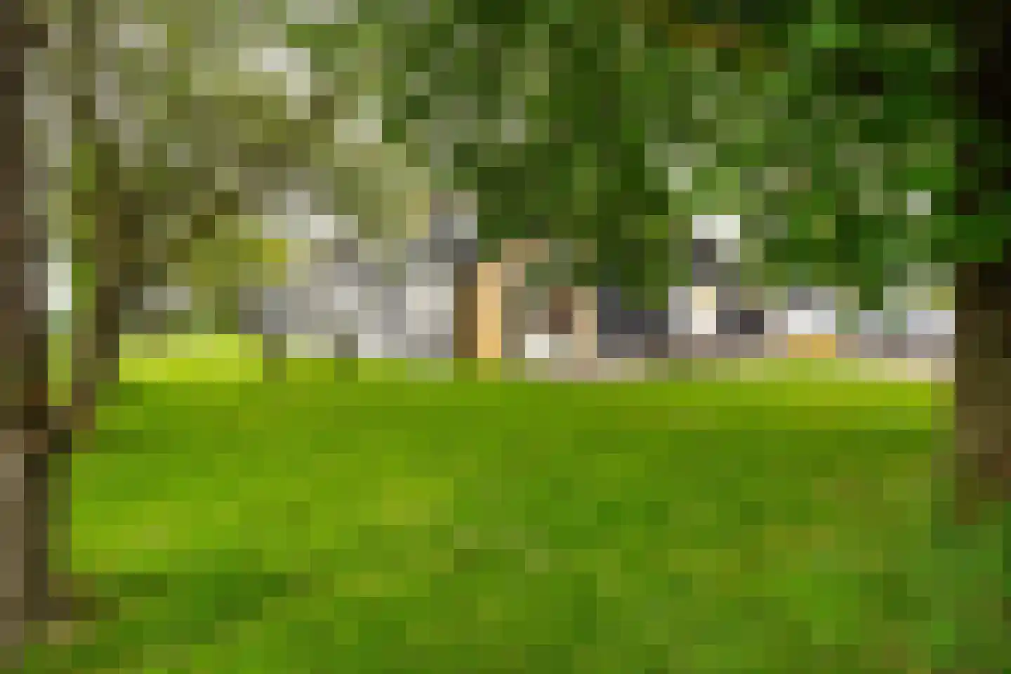 Bloemweg 4 Almkerk thumbnail 65