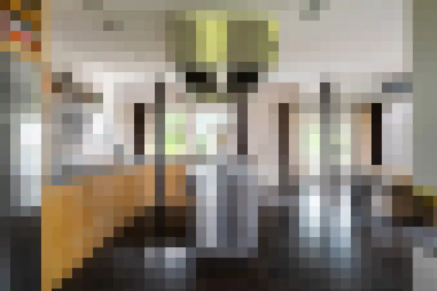 Bloemweg 4 Almkerk thumbnail 7