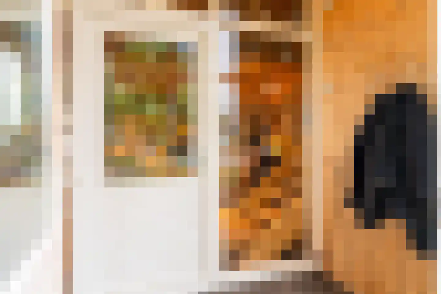 Bloemweg 4 Almkerk thumbnail 70