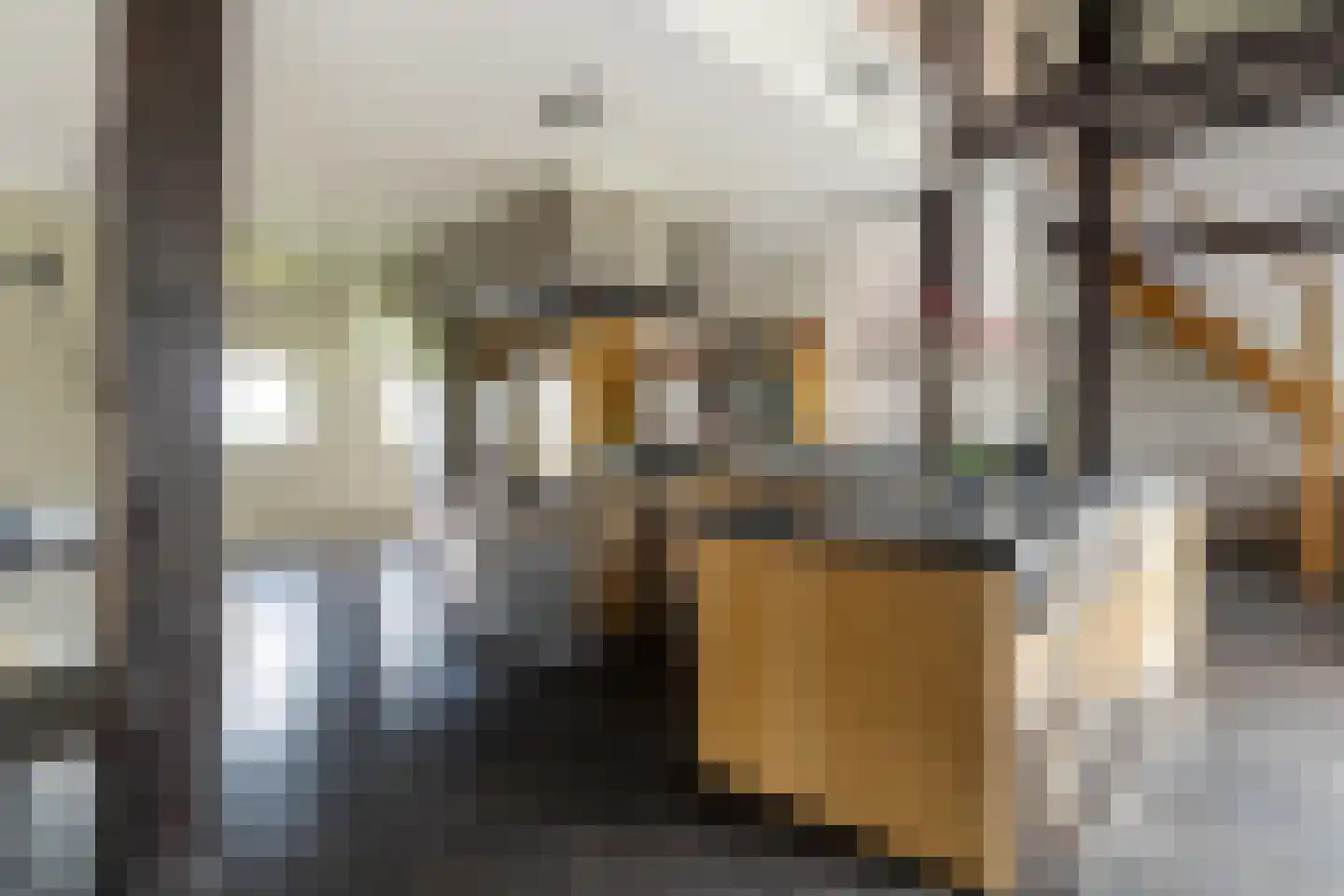 Bloemweg 4 Almkerk thumbnail 8