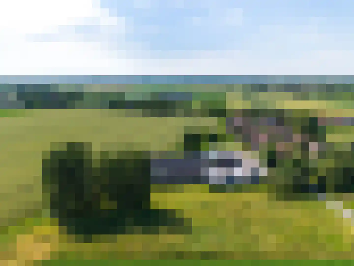 Bloemweg 4 Almkerk thumbnail 89