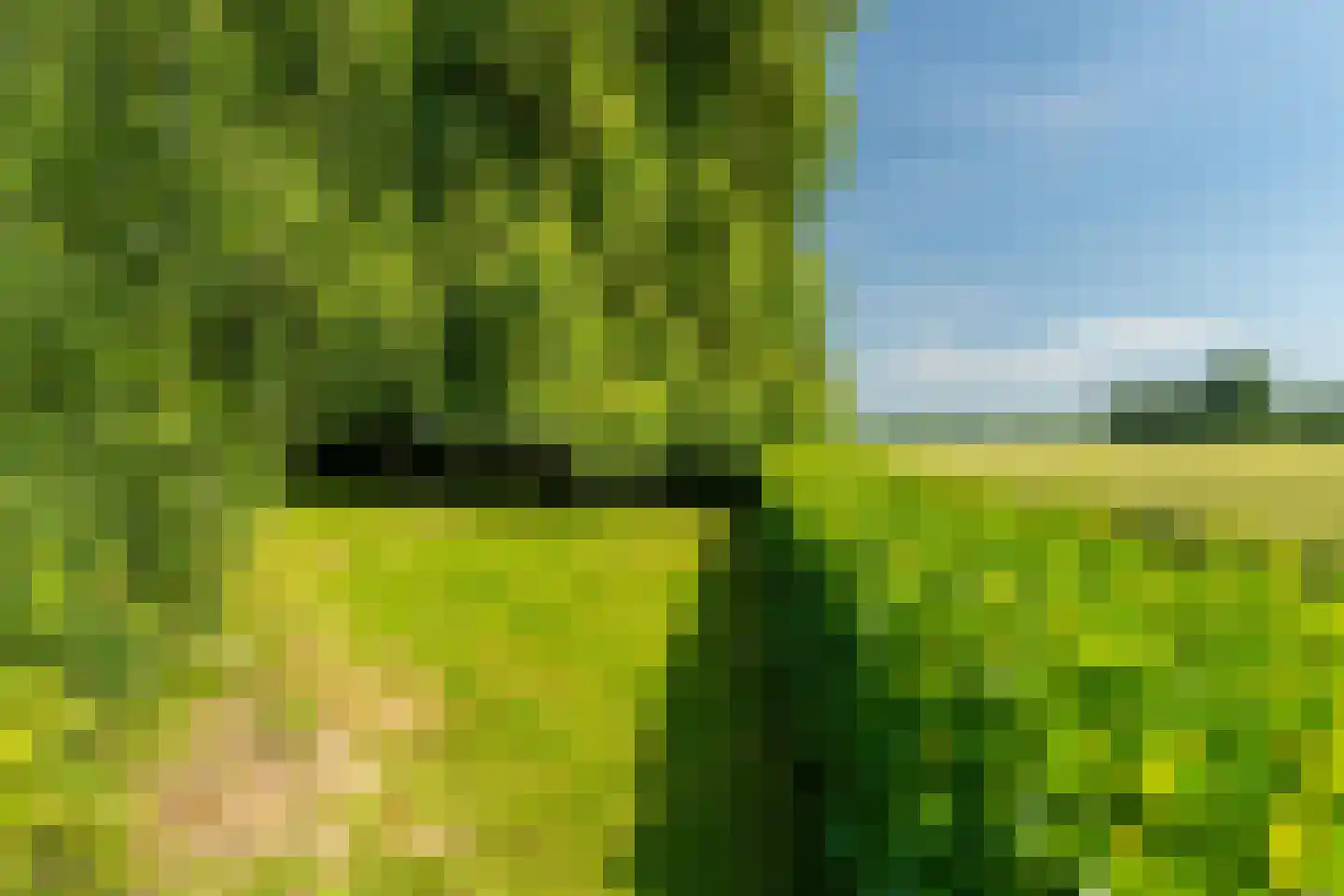 Bloemweg 4 Almkerk thumbnail 90