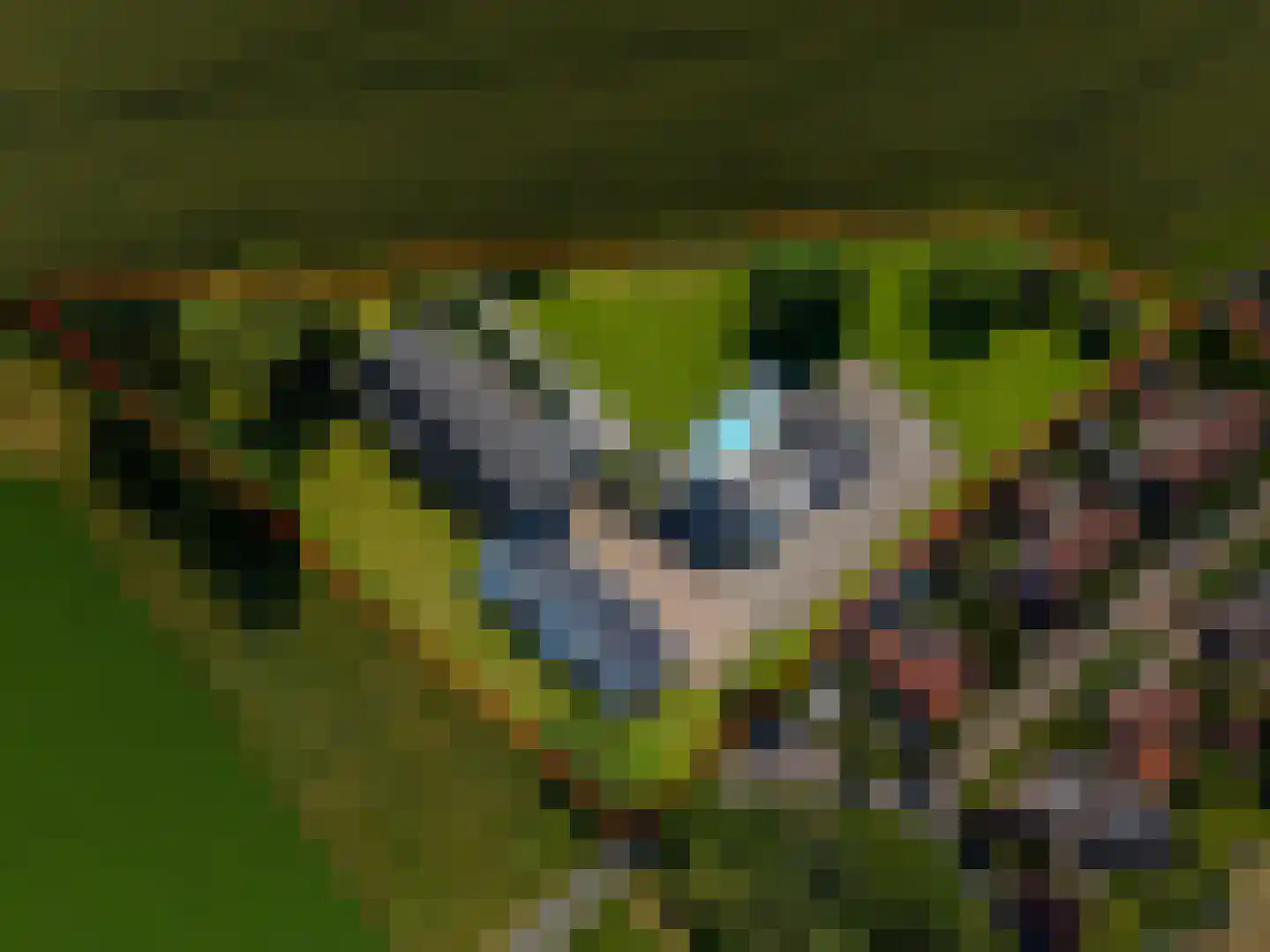 Bloemweg 4 Almkerk thumbnail 91