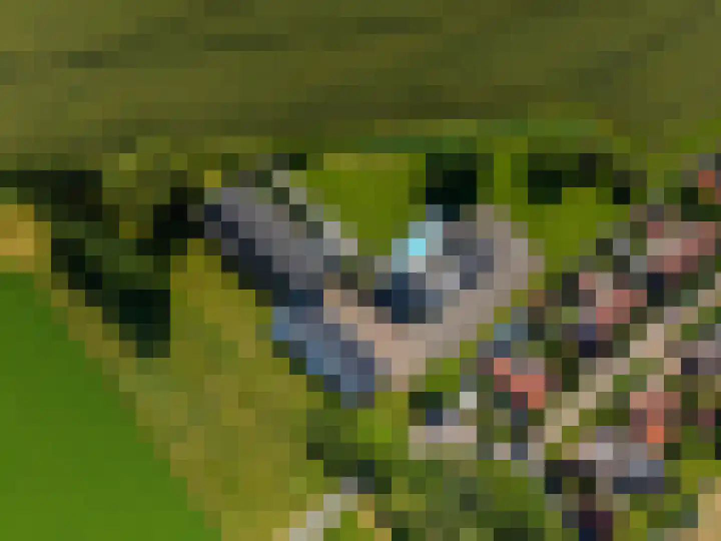 Bloemweg 4 Almkerk thumbnail 92