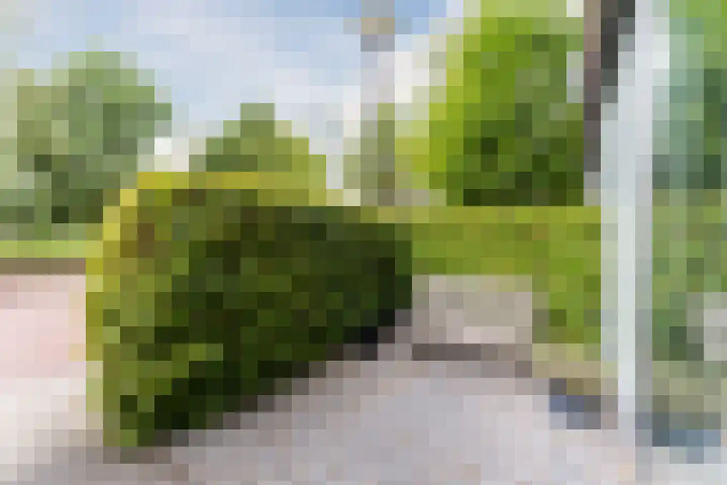 Bloemweg 75 Amersfoort thumbnail 38