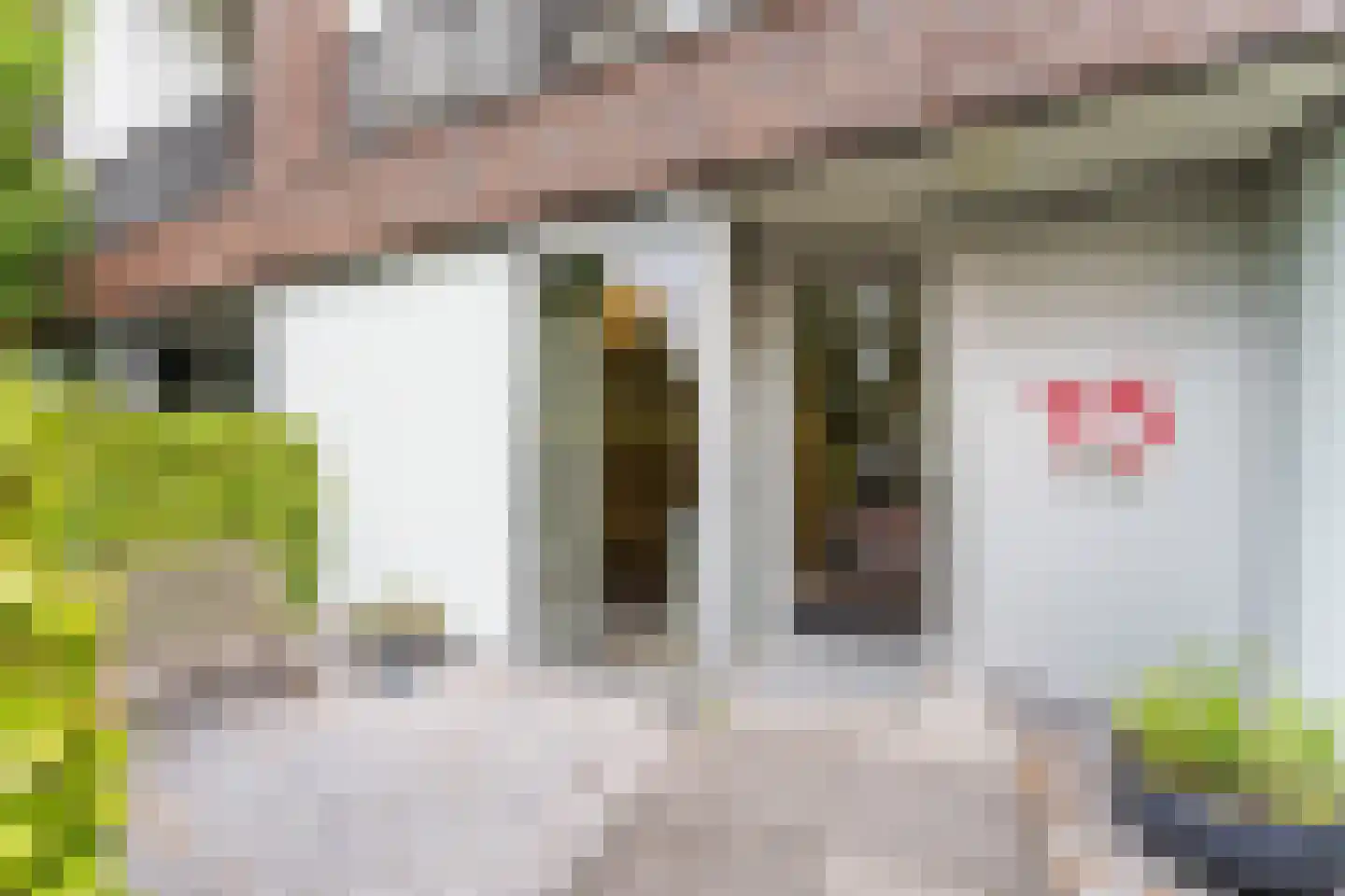 Bloemweg 75 Amersfoort thumbnail 39