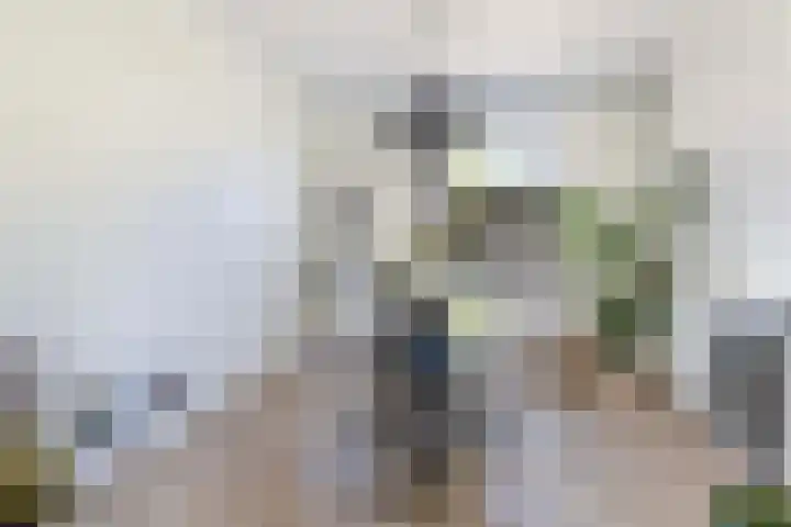 Bloemwijklaan 14 Apeldoorn thumbnail 16