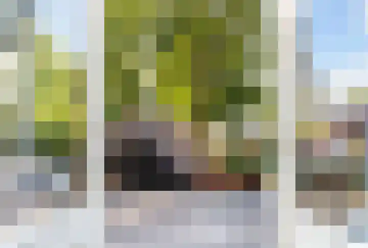 Bloemwijklaan 14 Apeldoorn thumbnail 32