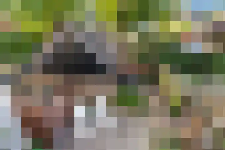 Bloemwijklaan 14 Apeldoorn thumbnail 4