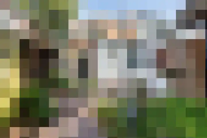 Bloemwijklaan 14 Apeldoorn thumbnail 5