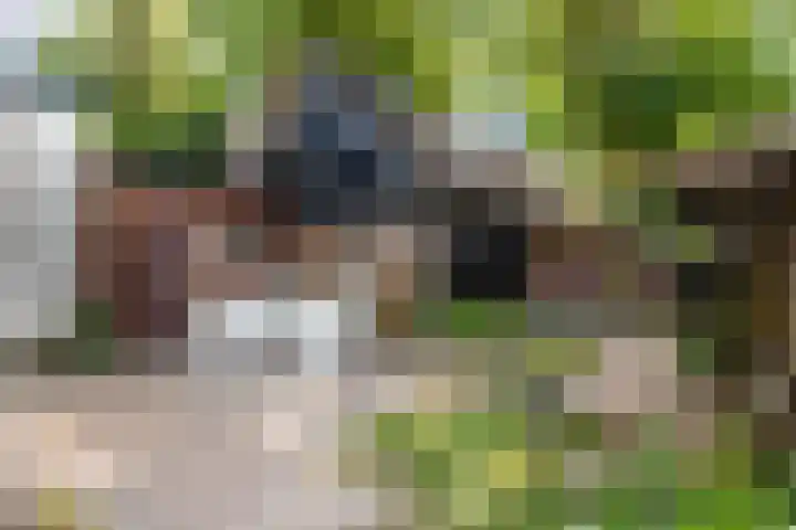 Bloemwijklaan 14 Apeldoorn thumbnail 6