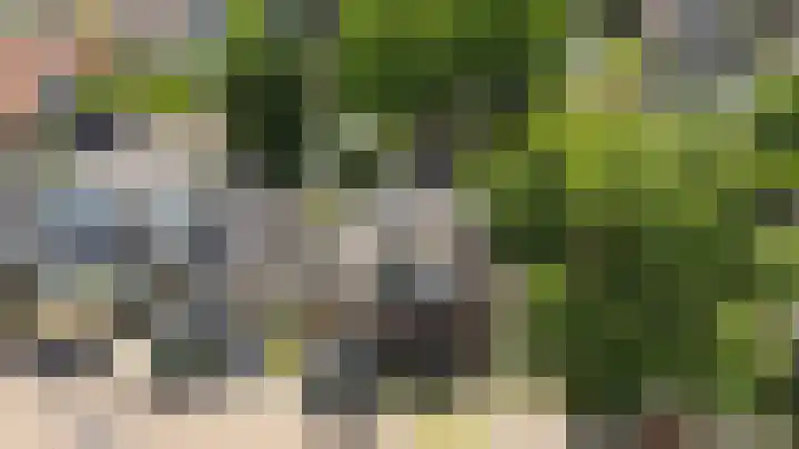 Bloemwijklaan 14 Apeldoorn thumbnail 7