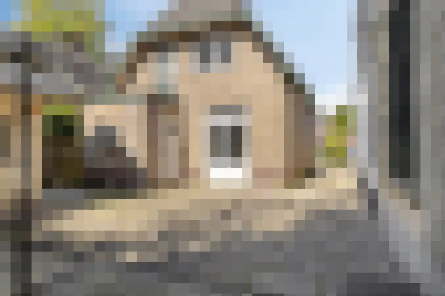 Bloemwijklaan 18 Apeldoorn thumbnail 23