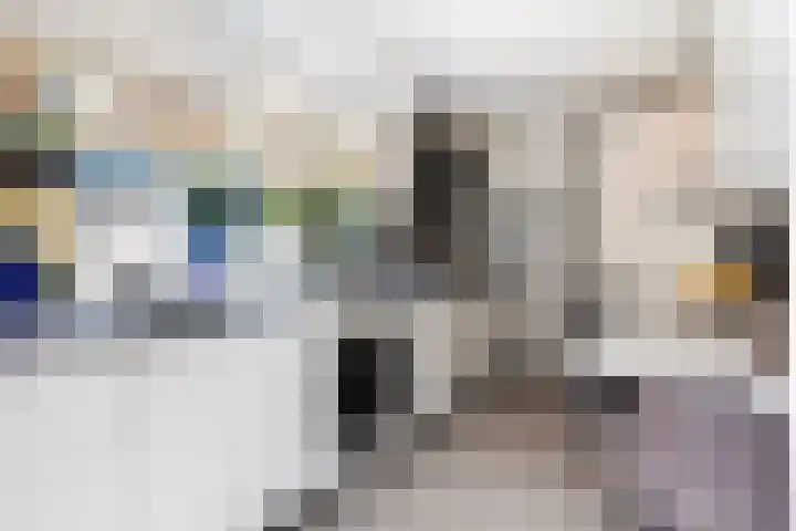 Bloemwijklaan 7 Apeldoorn thumbnail 12