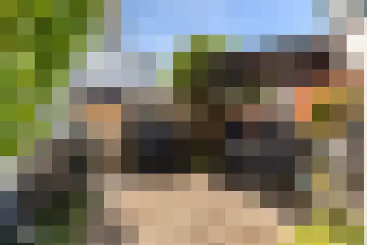 Bloemwijklaan 7 Apeldoorn thumbnail 15