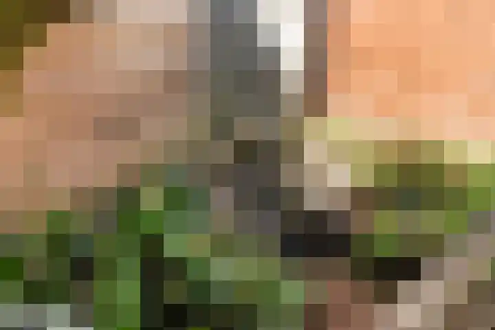 Bloemwijklaan 7 Apeldoorn thumbnail 16