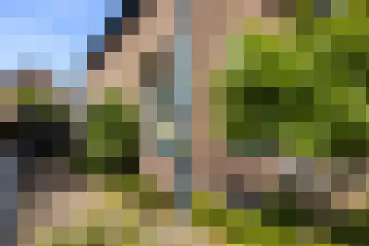 Bloemwijklaan 7 Apeldoorn thumbnail 19