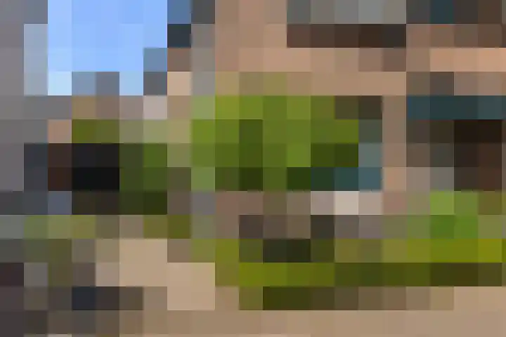 Bloemwijklaan 7 Apeldoorn thumbnail 20