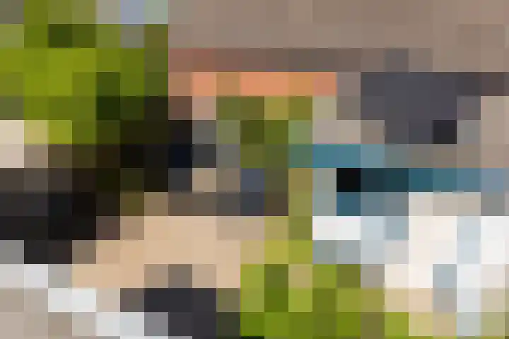 Bloemwijklaan 7 Apeldoorn thumbnail 29