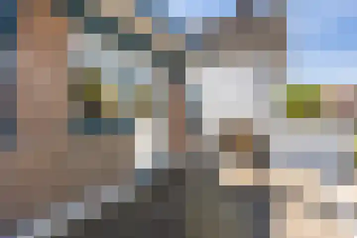 Bloemwijklaan 7 Apeldoorn thumbnail 31