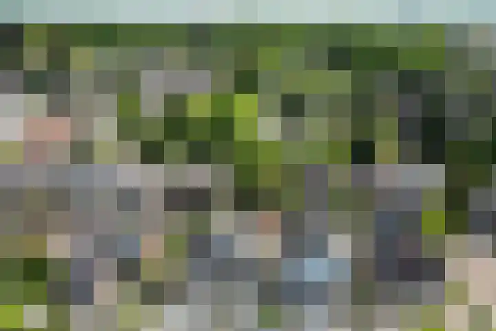 Bloemwijklaan 7 Apeldoorn thumbnail 43