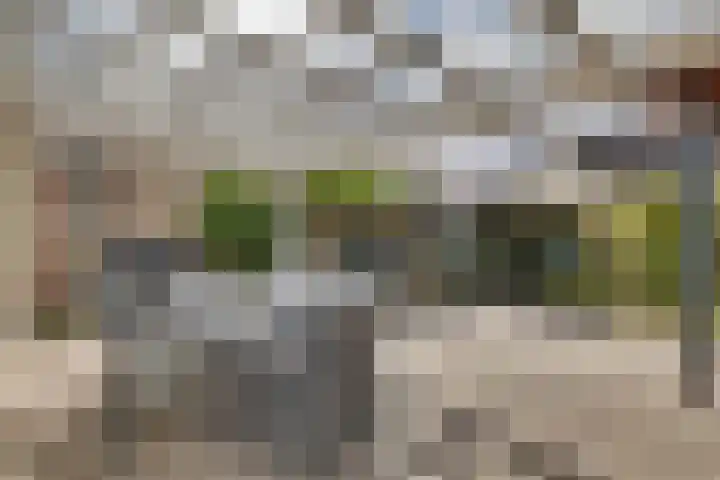 Bloemwilg 2 Brunssum thumbnail 35