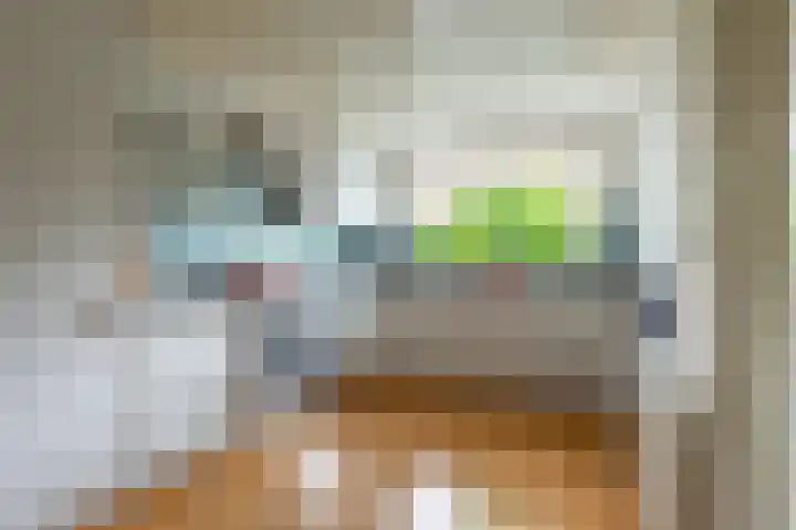Bloesem 12 a Huizen thumbnail 12