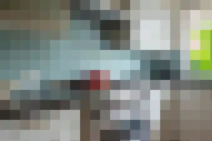 Bloesem 12 a Huizen thumbnail 13