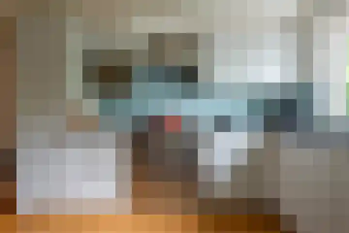 Bloesem 12 a Huizen thumbnail 14