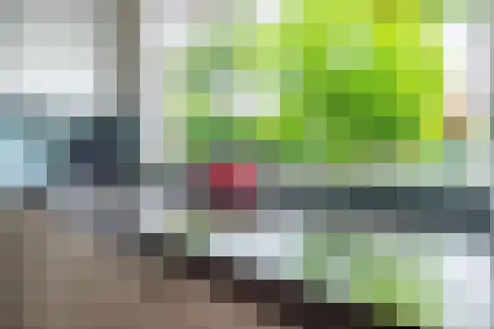 Bloesem 12 a Huizen thumbnail 15