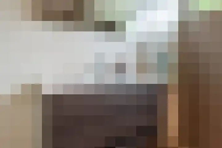 Bloesem 12 a Huizen thumbnail 21