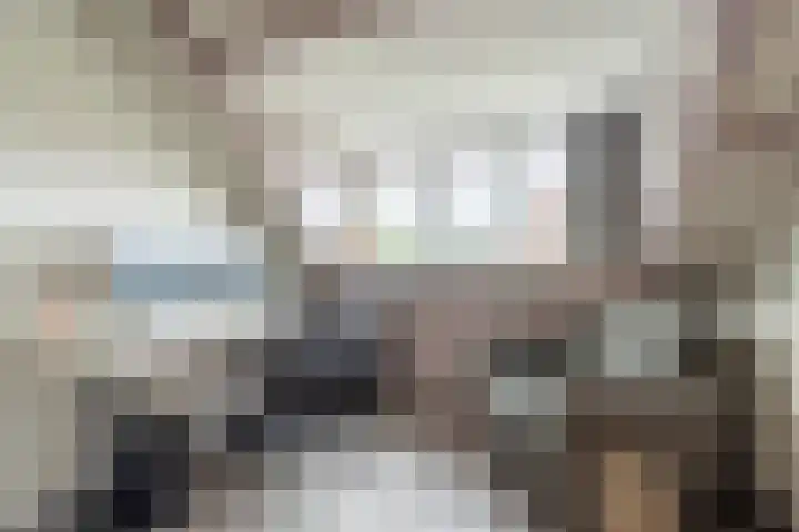 Bloesem 12 a Huizen thumbnail 26
