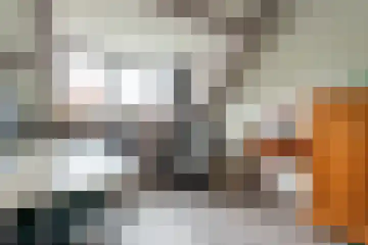 Bloesem 12 a Huizen thumbnail 27