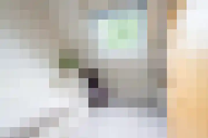 Bloesem 12 a Huizen thumbnail 28