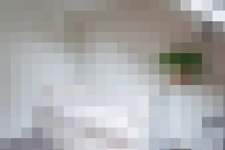 Bloesem 12 a Huizen thumbnail 29