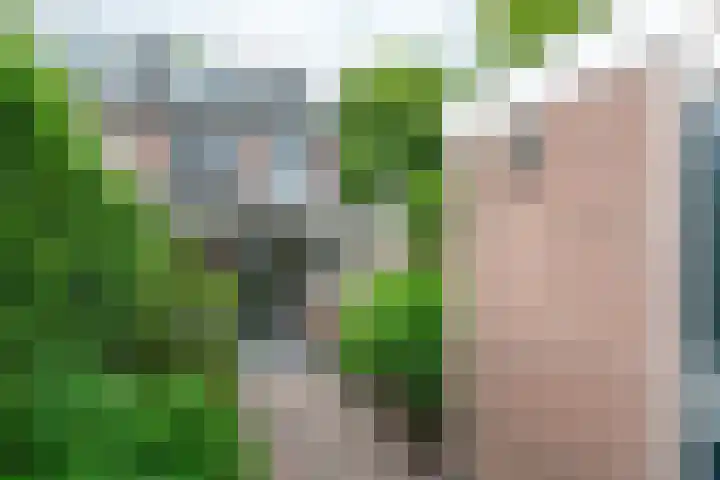 Bloesem 12 a Huizen thumbnail 30