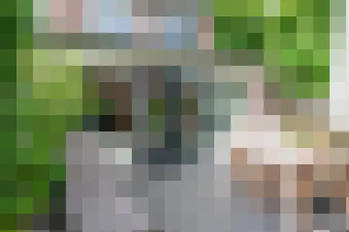 Bloesem 12 a Huizen thumbnail 31
