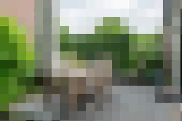 Bloesem 12 a Huizen thumbnail 32