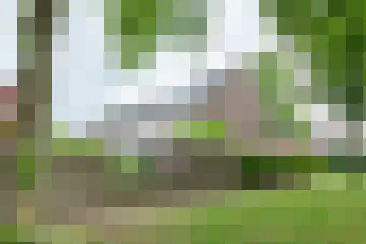 Bloesem 12 a Huizen thumbnail 34