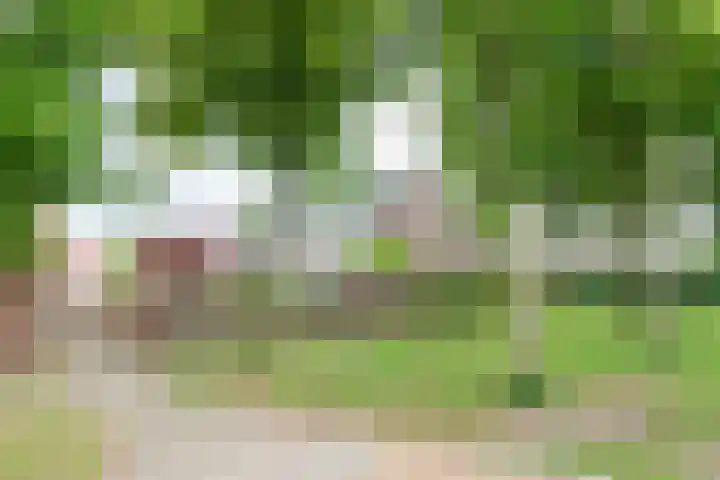 Bloesem 12 a Huizen thumbnail 35