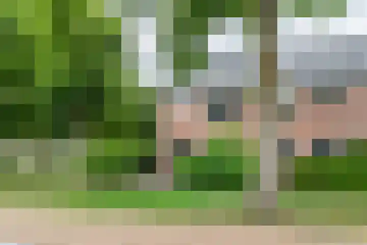 Bloesem 12 a Huizen thumbnail 36