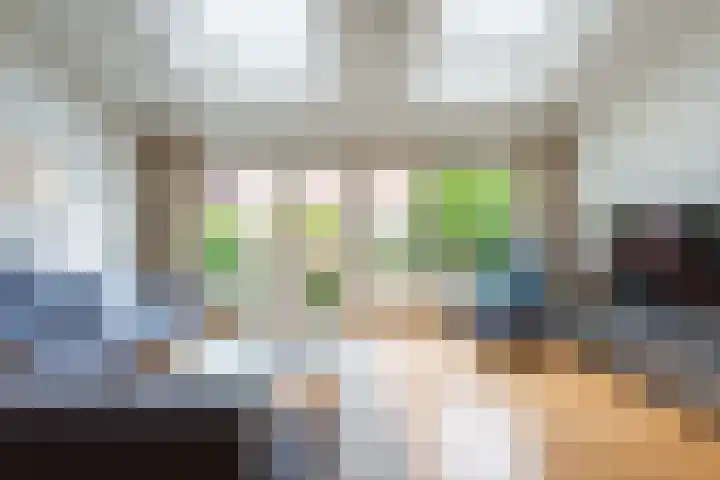 Bloesem 12 a Huizen thumbnail 4