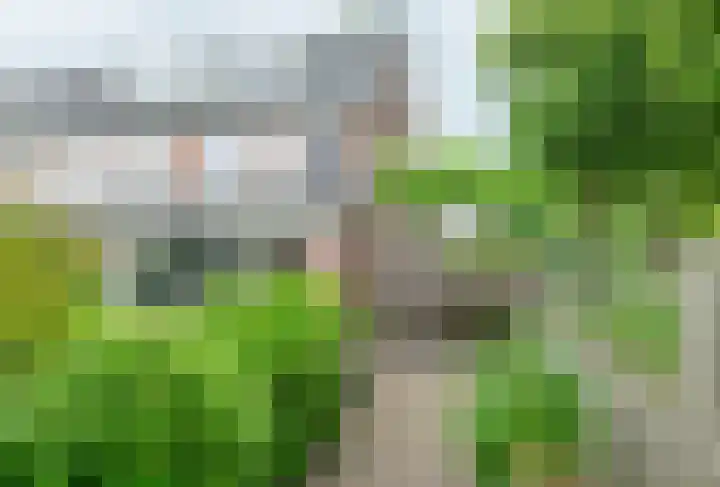 Bloesem 12 a Huizen thumbnail 42