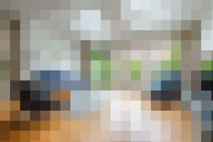 Bloesem 12 a Huizen thumbnail 7
