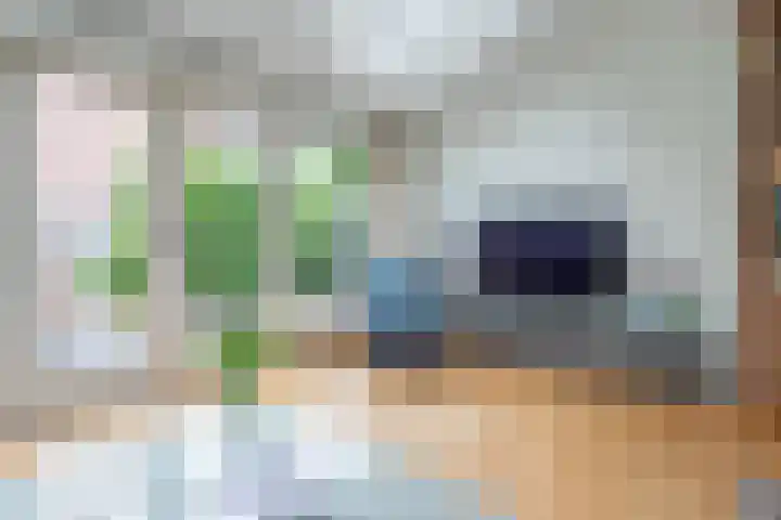 Bloesem 12 a Huizen thumbnail 8